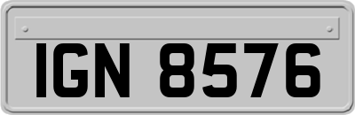IGN8576