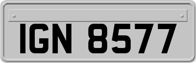 IGN8577