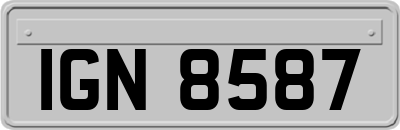 IGN8587