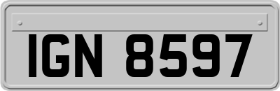 IGN8597