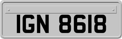 IGN8618