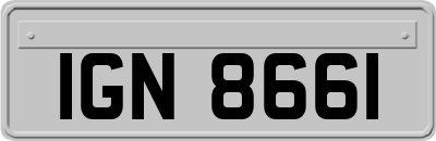 IGN8661