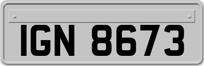 IGN8673