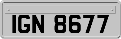 IGN8677