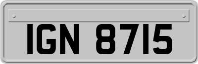 IGN8715