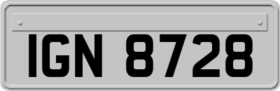 IGN8728