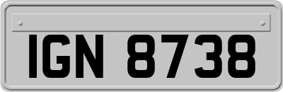 IGN8738
