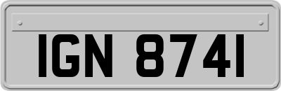 IGN8741
