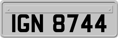IGN8744