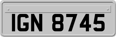 IGN8745