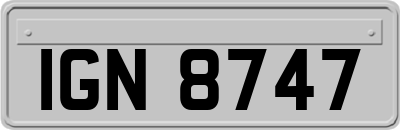 IGN8747