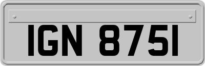 IGN8751