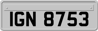 IGN8753
