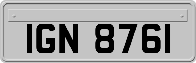 IGN8761