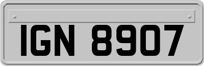 IGN8907