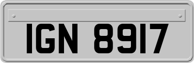 IGN8917