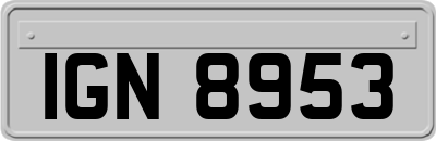 IGN8953