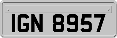 IGN8957