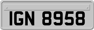 IGN8958