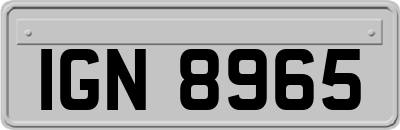 IGN8965