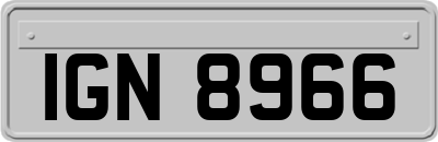 IGN8966