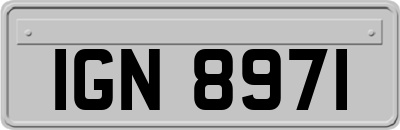 IGN8971