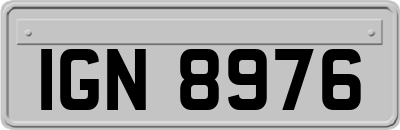 IGN8976