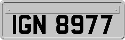 IGN8977