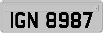 IGN8987