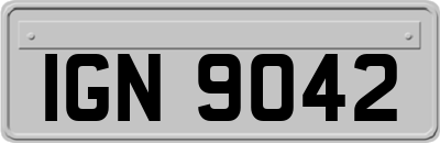IGN9042