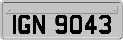 IGN9043