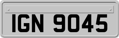 IGN9045