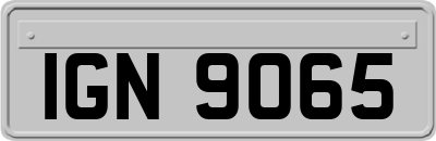 IGN9065