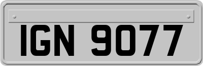 IGN9077