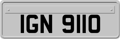 IGN9110