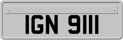IGN9111