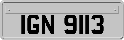 IGN9113