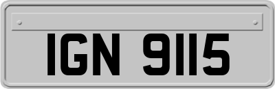 IGN9115
