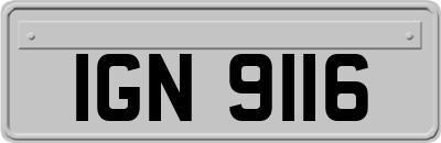 IGN9116