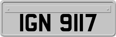 IGN9117