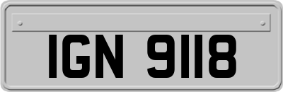 IGN9118
