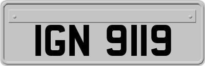 IGN9119
