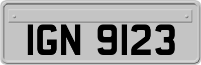 IGN9123