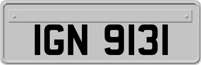 IGN9131