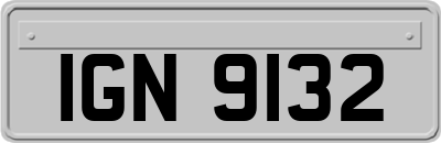 IGN9132