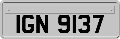 IGN9137