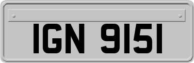 IGN9151