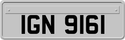 IGN9161