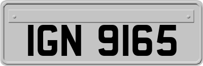 IGN9165