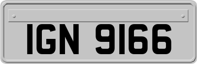IGN9166